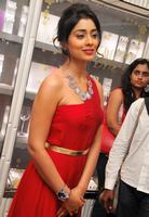 Actress Shriya Hot Pics